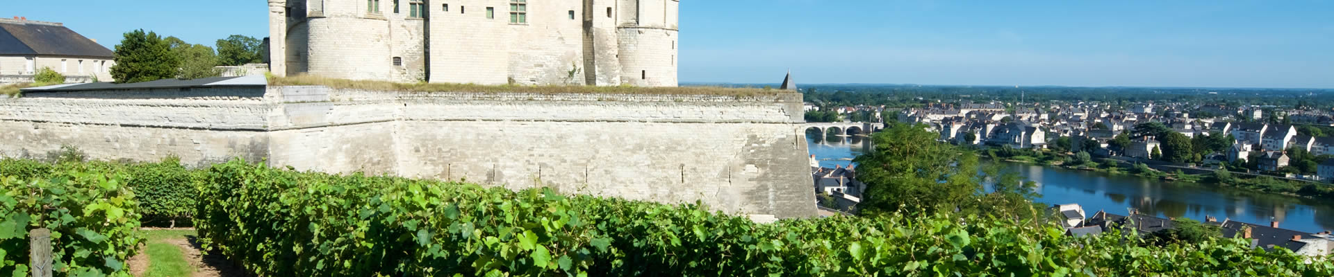 Loire valley vineyards